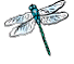 Story of the Dragonfly